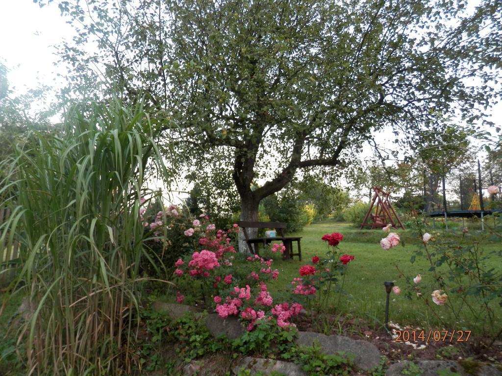 Zagroda Agroturystyczna Wiecha Mieroszow Exteriér fotografie